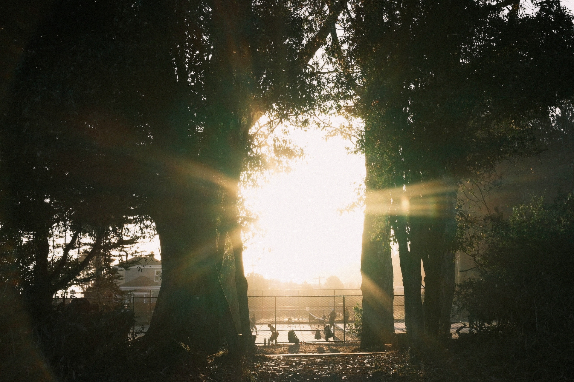 Late sun flaring between two dark trees, with silhouetted figures on a fenced court beyond.